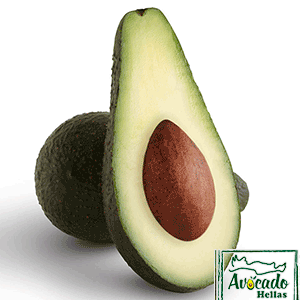 PINKERTON AVOCADO CULTIVATION, CULTIVATION PRICE MARKET BUY, TREE/TREE PLANT, MARKET PLANTS, nursery, Greece,Crete